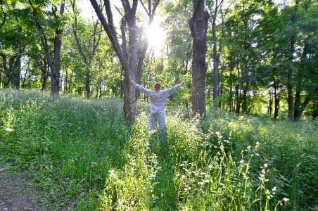 La ce ar trebui să fiți atenți la animalele sălbatice locale?