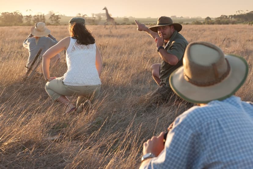 Aventuri în safari: Cele mai bune locuri din lume pentru a vedea animale