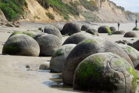 Stânci de broască țestoasă Moeraki în Noua Zeelandă