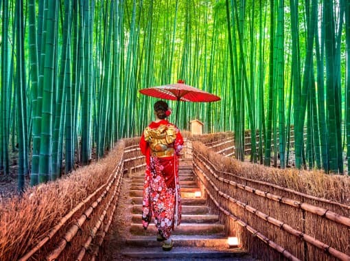 Sărbătorile sunt un spectacol în Japonia.