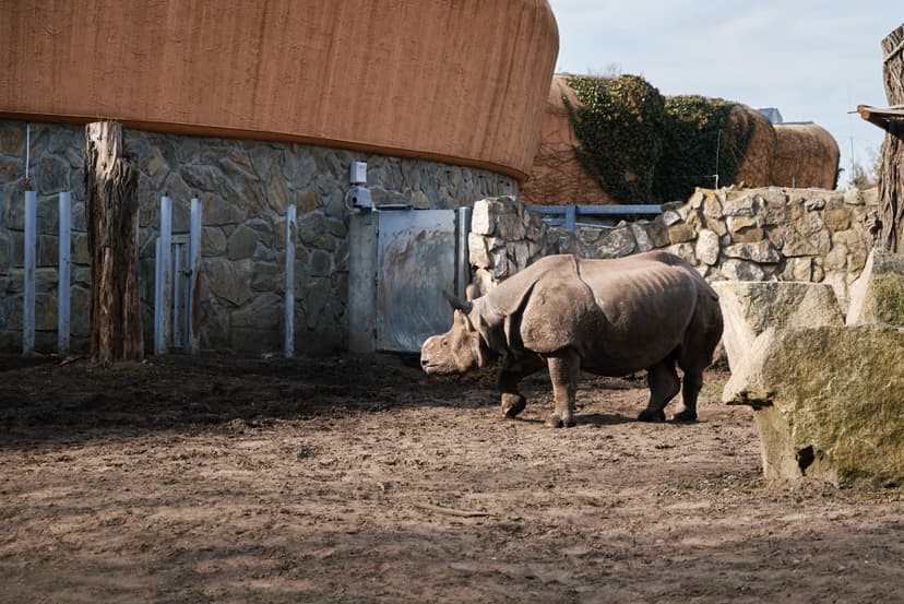 Cele mai mari grădini zoologice din lume