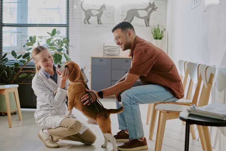 image of Ce acoperă asigurarea suplimentară pentru animale de companie