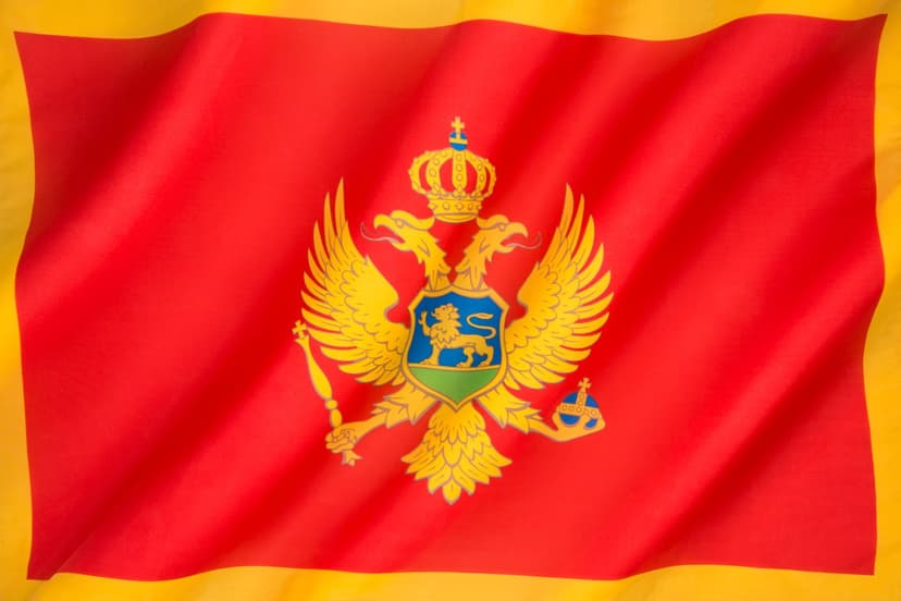 Moneda din Muntenegru