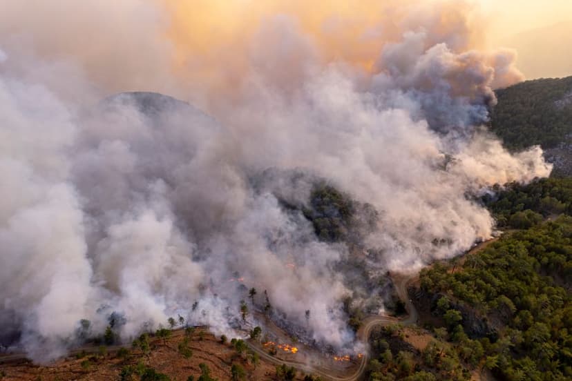 Ce trebuie făcut în cazul unui incendiu de pădure?