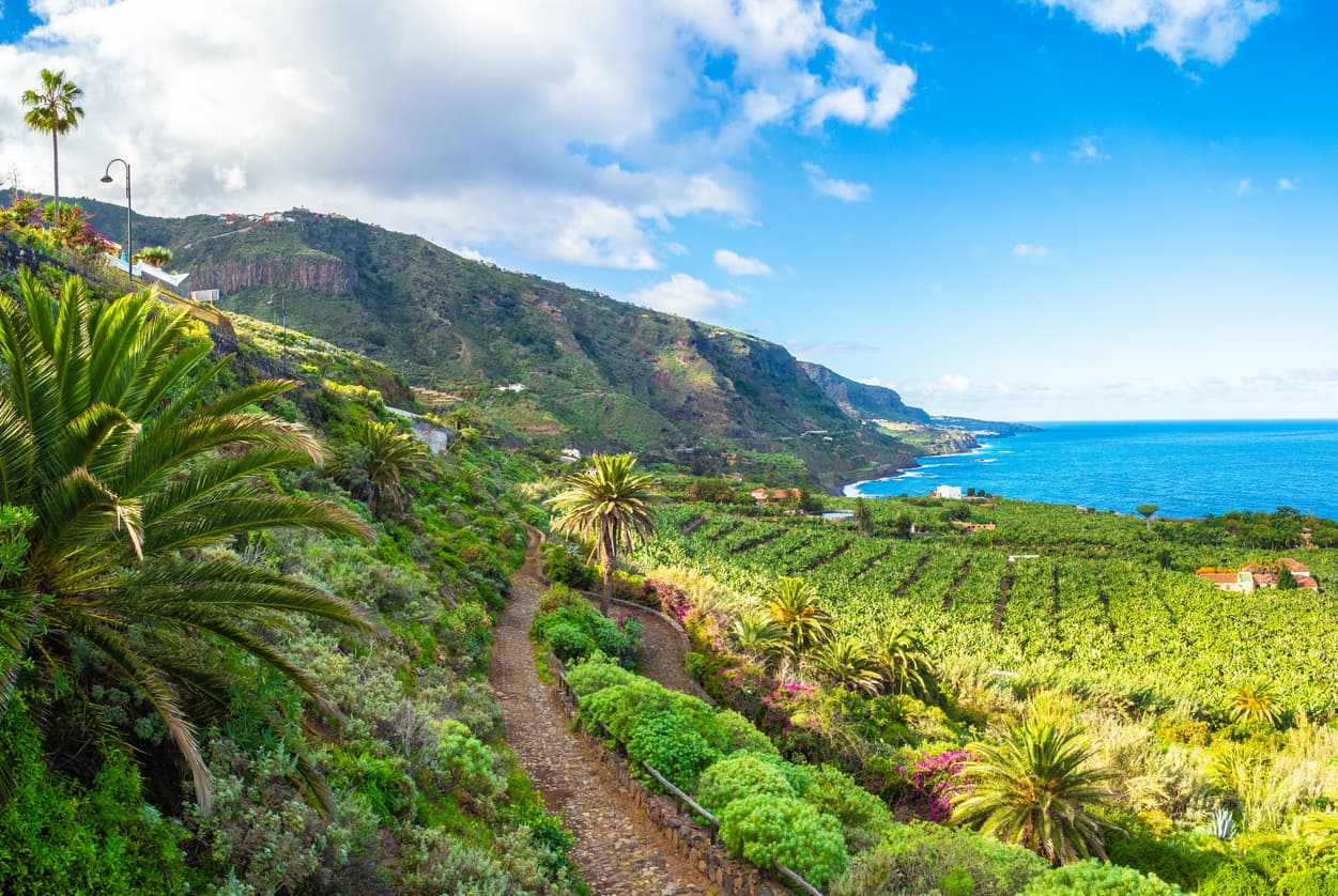 vacanță în Tenerife