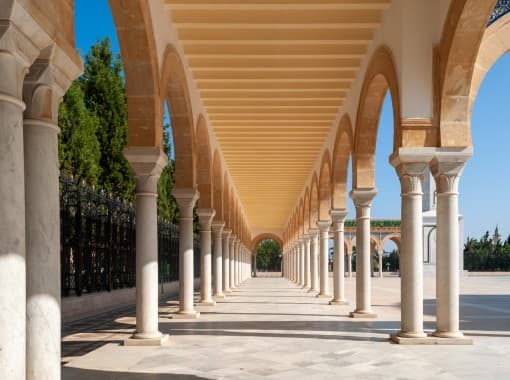 Tunisia este ocazional scena tulburărilor sociale și a demonstrațiilor.