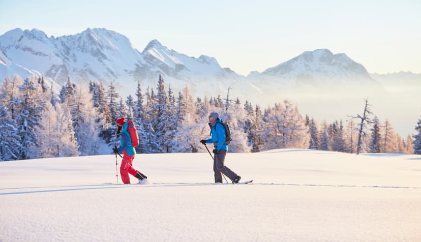 Călătorie în Austria