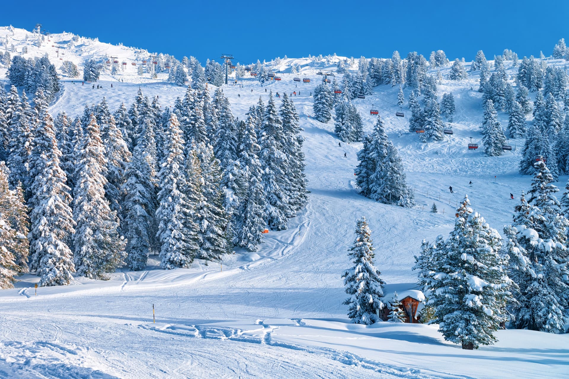 schi în Zillertal