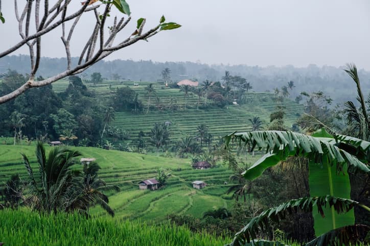 sezonul ploios în Bali
