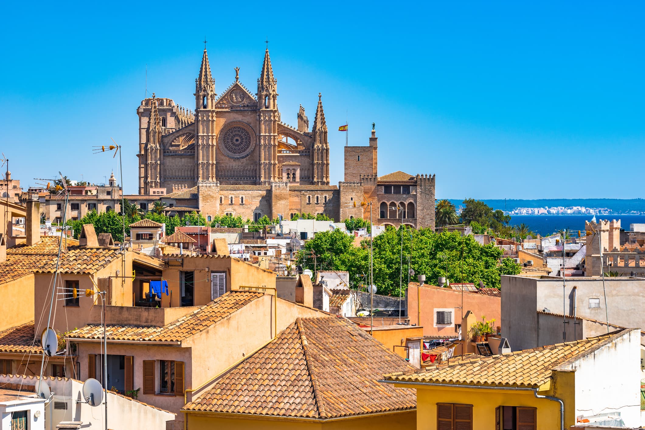 activități turistice în Palma de Mallorca