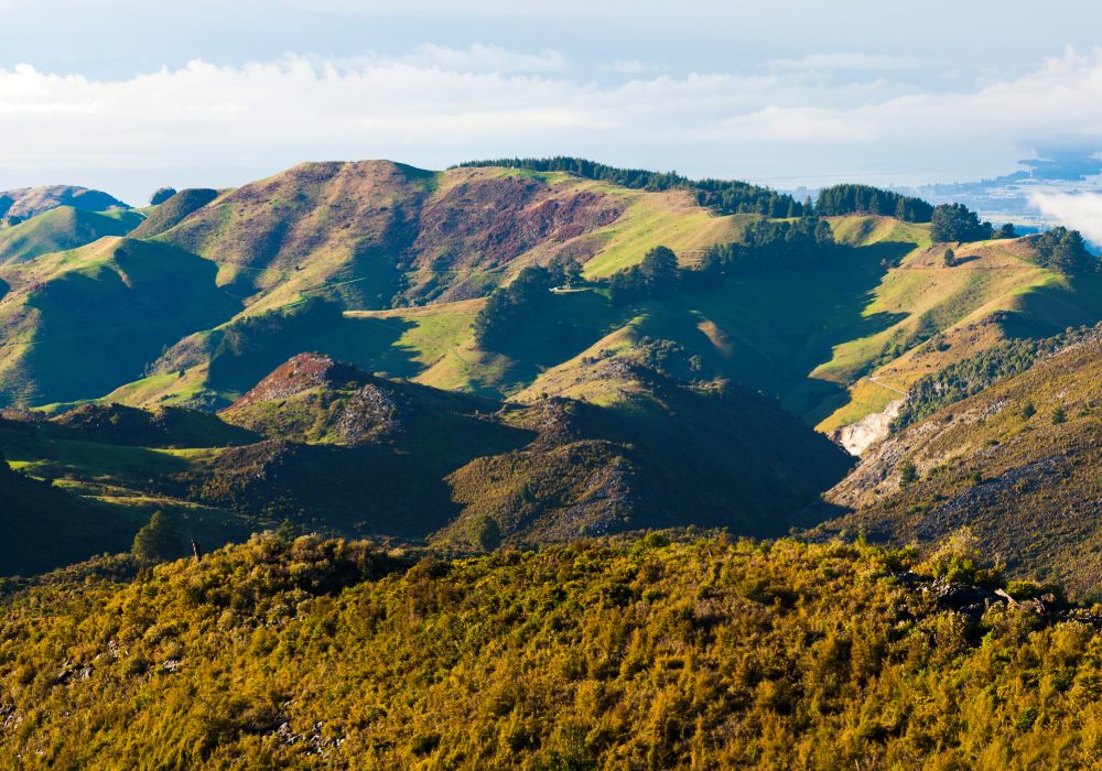 Cele-mai-frumoase-formatiuni-naturale-din-Noua-Zeelanda-(1).jpg