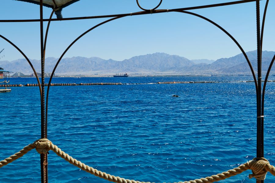 Reciful-delfinilor-din-Eilat-(1).jpg