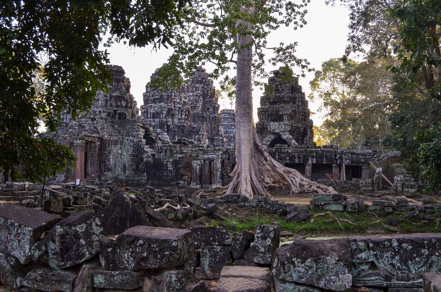 Ankor,-one-of-the-most-unique-structures-in-the-world-(1).jpeg