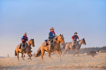 Cele-mai-bune-ferme-din-Statele-Unite-Fii-cowboy-pentru-o-zi!.jpg Cele-mai-bune-ferme-din-Statele-Unite-Fii-cowboy-pentru-o-zi!.jpg