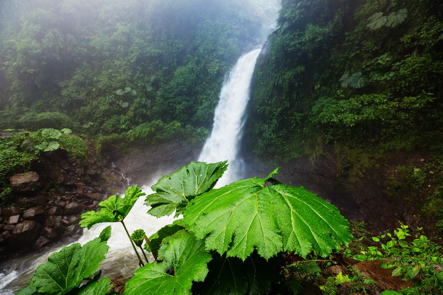 The-best-beaches-in-Costa-Rica-(1).jpeg
