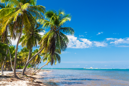 Cele-mai-frumoase-formatiuni-naturale-din-Dominica-(1).png
