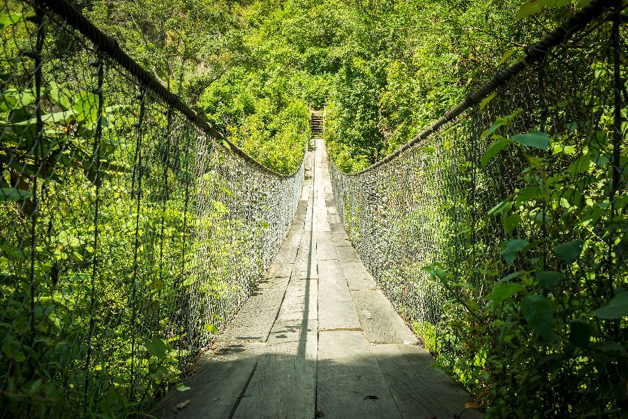 The-world-s-longest-pedestrian-suspension-bridge-(1).jpeg