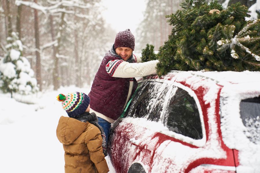 Christmas-adventure-by-car-(1).jpeg
