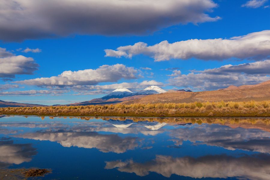Excursion-in-the-Andes-(1).jpeg