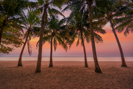 Frumusetea-lui-Barbados-(1).png