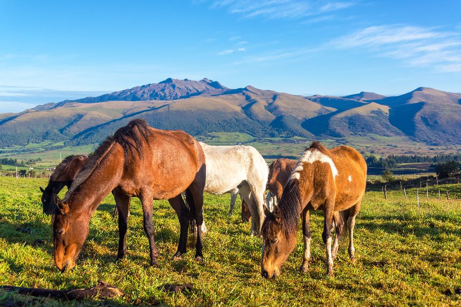 Breathtaking-places-in-Ecuador-(1).jpeg