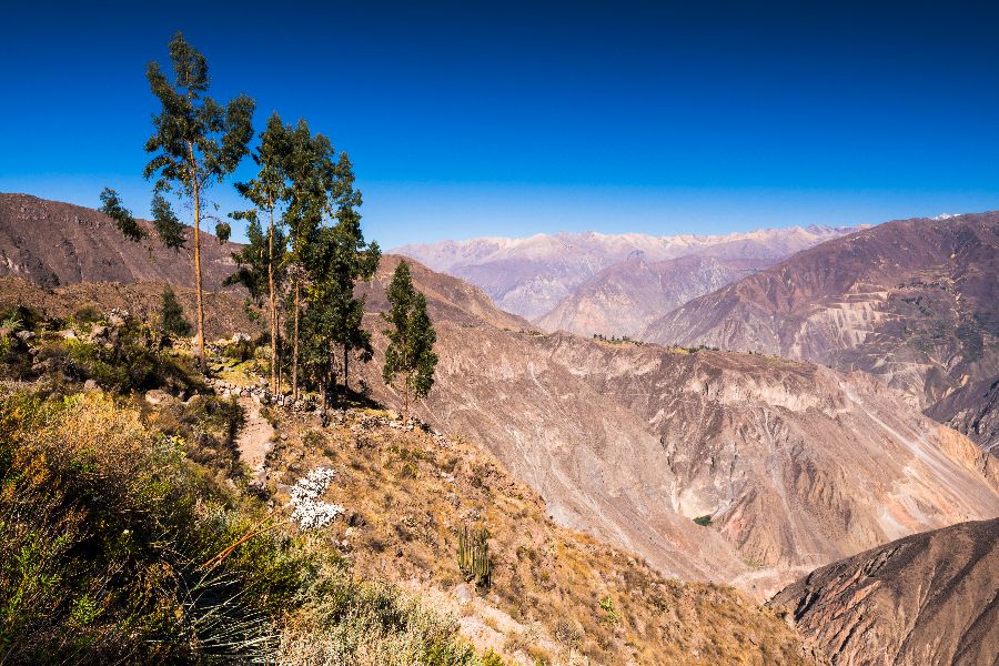 The-wonderful-Colca-Canyon-in-Peru-(1).jpeg