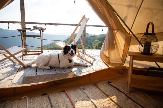 glamping în România