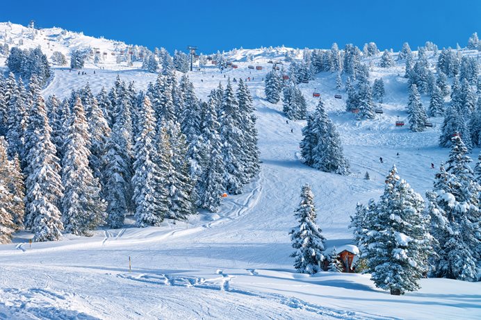 schi în Zillertal