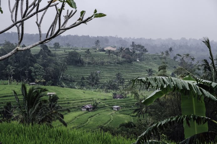 sezonul ploios în Bali