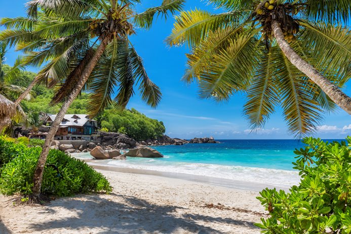 vacanță în Zanzibar